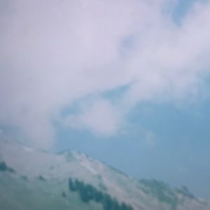 Meet your Posher, Lucy